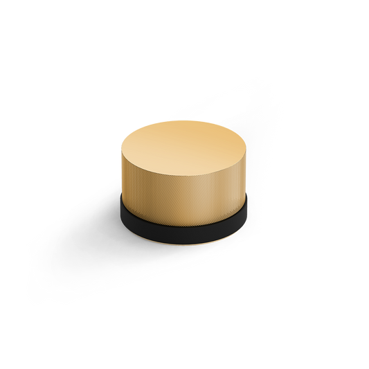 DW CLUB DOORMAN L doorstop 4 lbs - Gold 24 Carat
