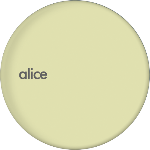 ALICE NUR Toilet Seat soft close