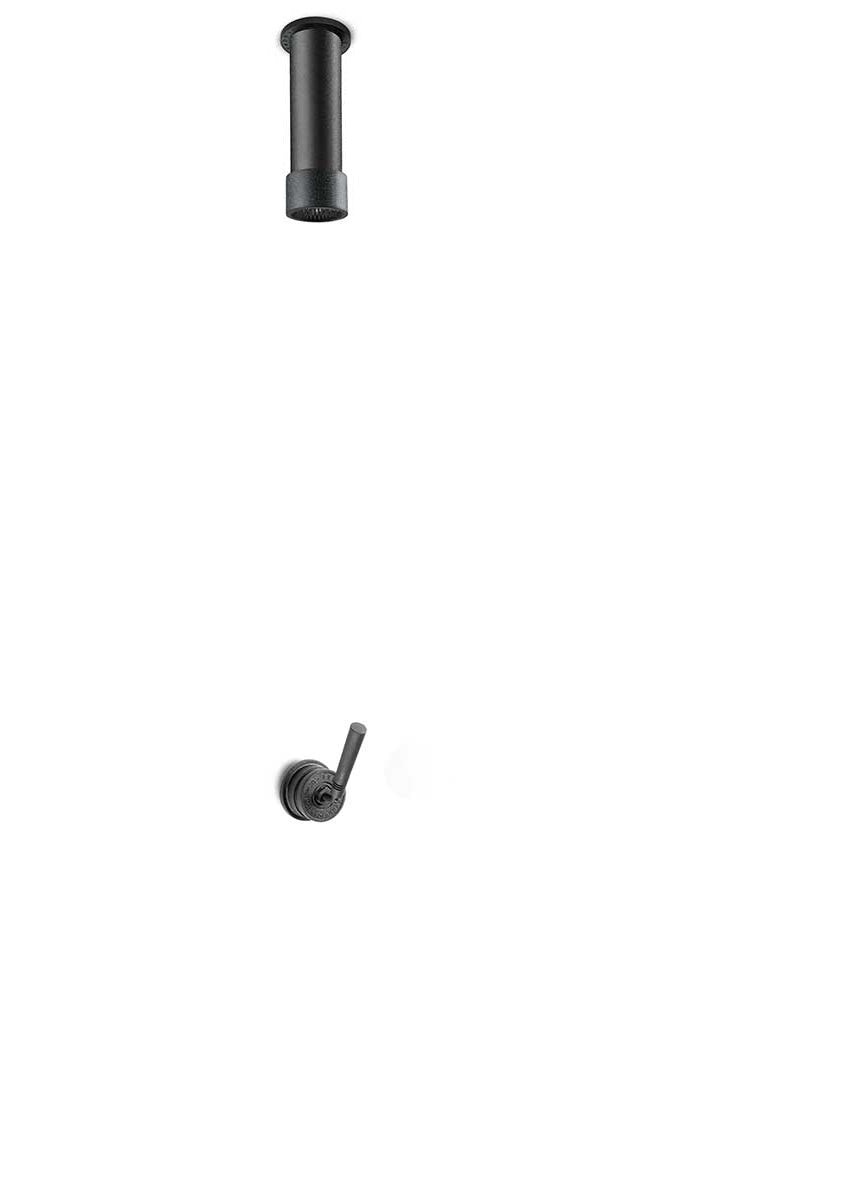 JEE-O Soho Shower Set 03 Ceiling SS with shower, one way mixer