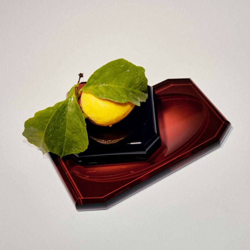 DW KR STS KRISTALL Soap dish - Burgundy