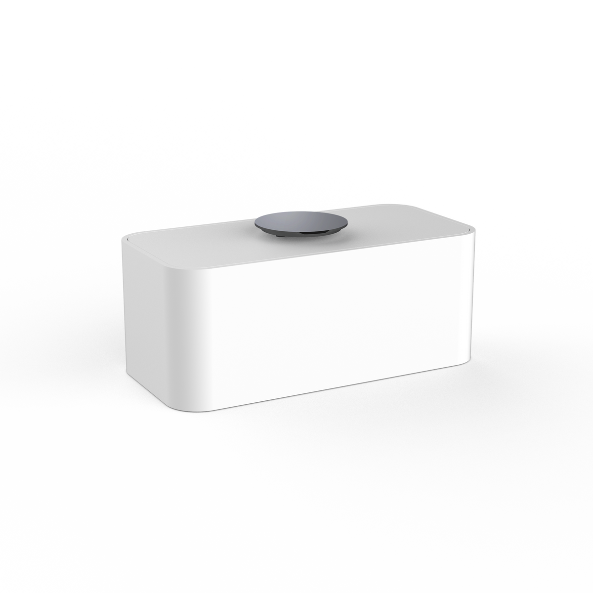 DW  STONE UTBMD Multi-purpose box with lid White Matte / Black Chrome PVD