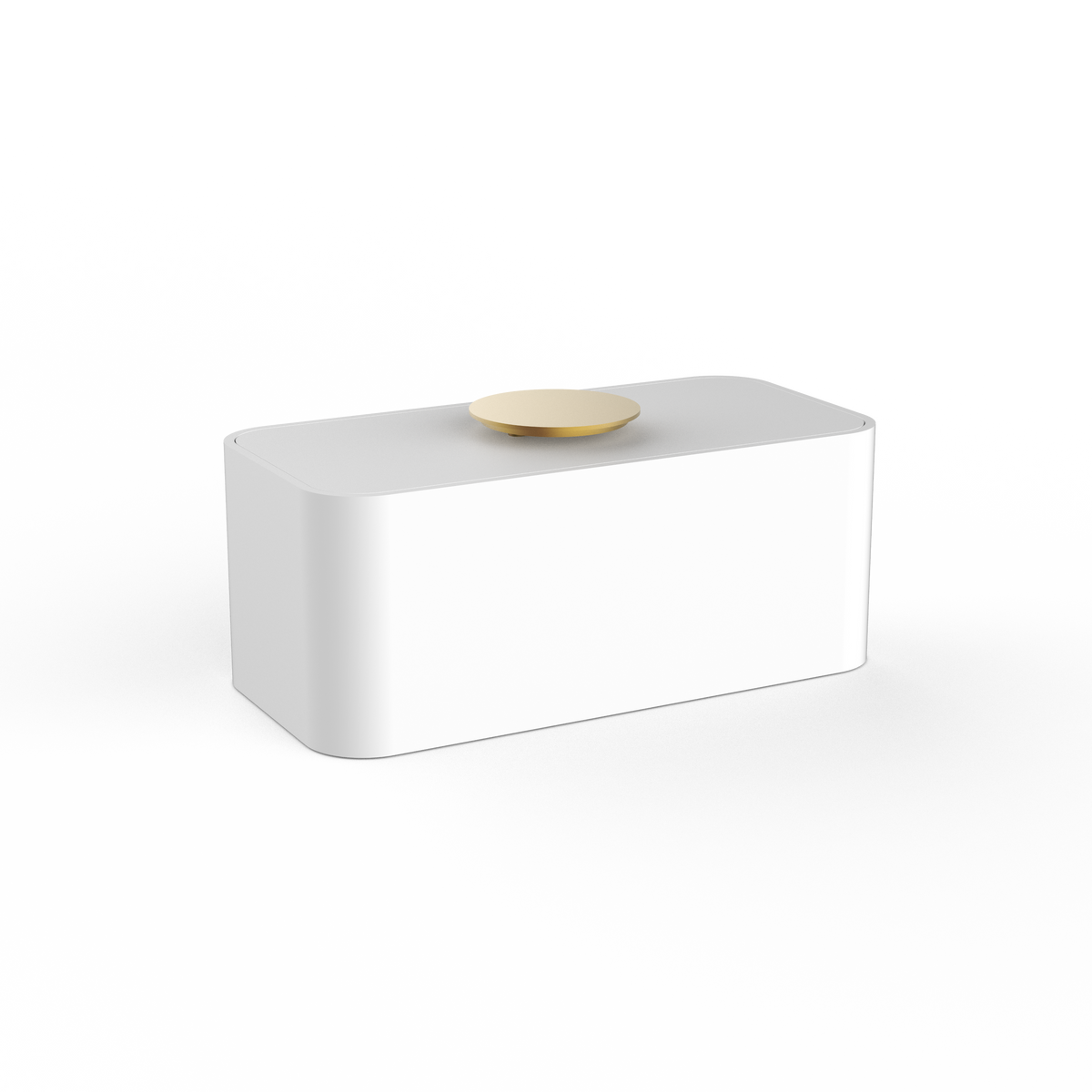 DW  STONE UTBMD Multi-purpose box with lid White Matte / Gold Matte PVD