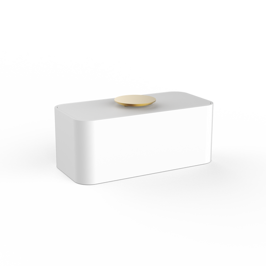 DW  STONE UTBMD Multi-purpose box with lid White Matte / Gold Matte PVD