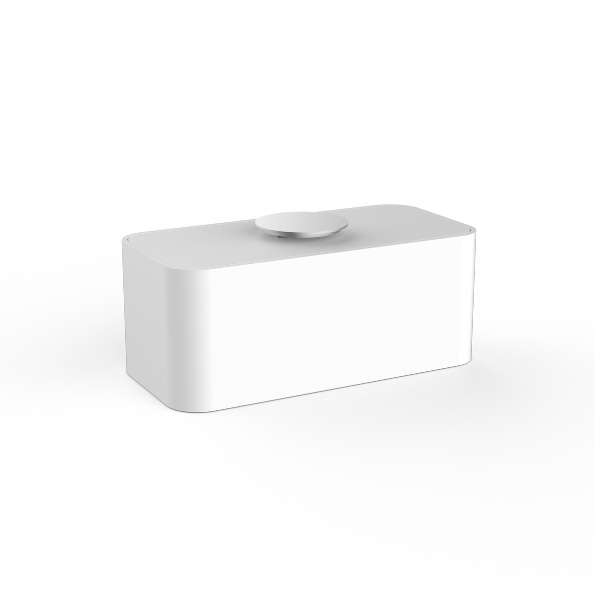 DW  STONE UTBMD Multi-purpose box with lid White Matte / Stainless Steel Matte